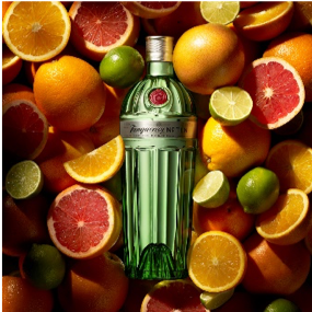 Tanqueray No. Ten Batch Distilled