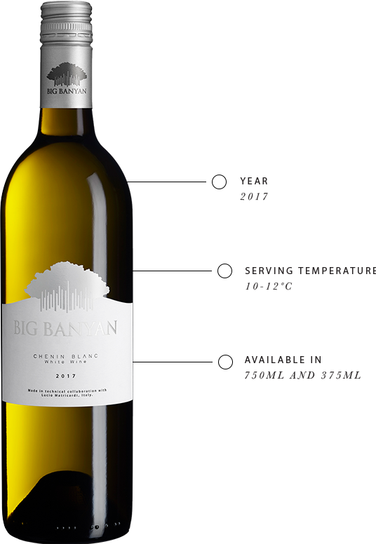 Big Banyan Chenin Blanc White