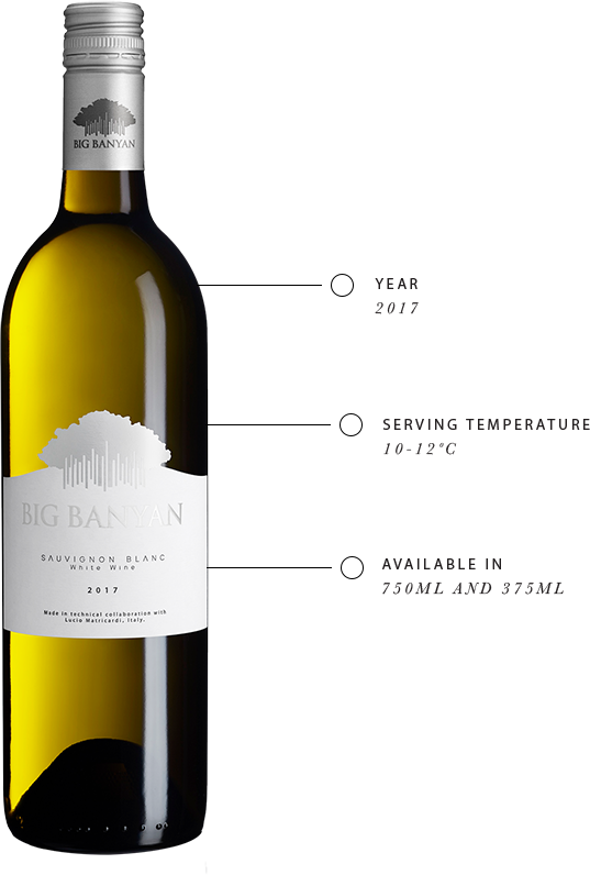 Big Banyan Sauvignon Blanc White