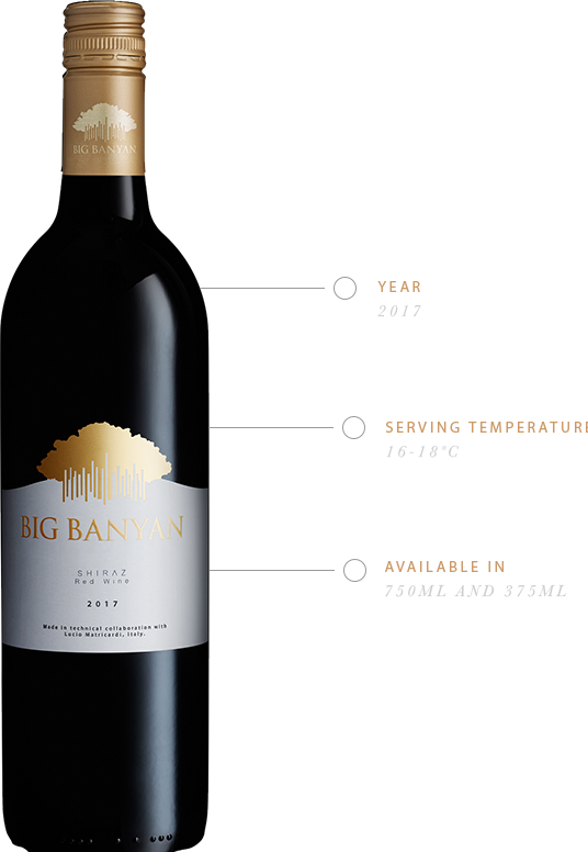 Big Banyan Shiraz Red